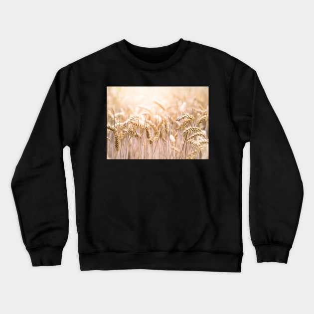 Summer Corn Crewneck Sweatshirt by EviRadauscher